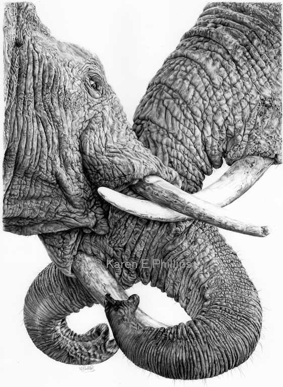 Tembo Tango Elephant Trunks